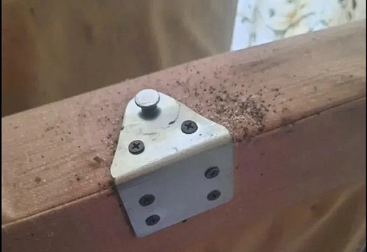 Уничтожение клопов в квартире